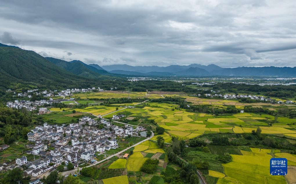 美高梅直营高